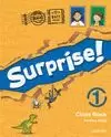 SURPRISE! 4. ACTIVITY BOOK